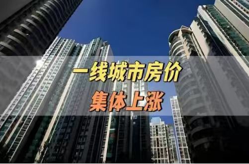 9cfbfe86a7536fa74d62d0581f973499.jpg